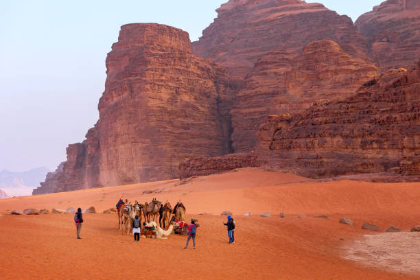 kamele und menschen in der wüste wadi rum, jordanien - jordan camel wadi rum arabia stock-fotos und bilder