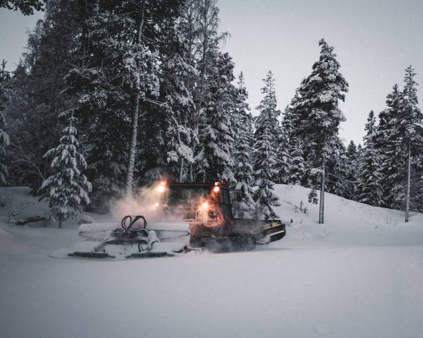 istock Mesmerizing view of snowy trees covered by snow on the white ground 1461004899
