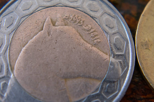 istock Close-up shot of Algerian Currency 1461005844