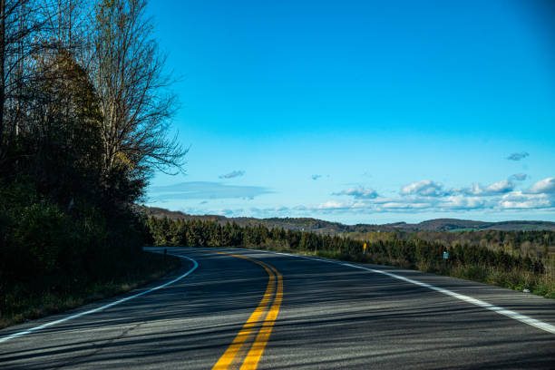 istock Empty street with trees and bushes 1461007440
