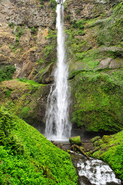 beautiful waterfall in ‎⁨columbia river gorge national scenic area in ⁨oregon⁩, ⁨usa - columbia oregon ストックフォトと画像