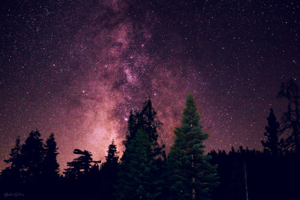 istock Mesmerizing view of the milky way during the night with forest trees in the foreground 1461007721