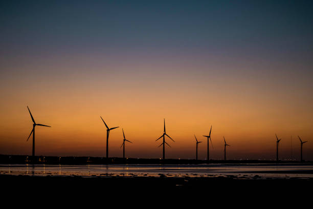 istock Beautiful view of wind turbines on a beach at sunset 1461008227