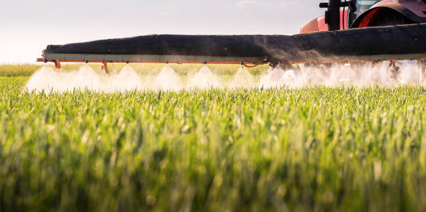 istock Tractor spraying pesticides wheat field. 1461008447