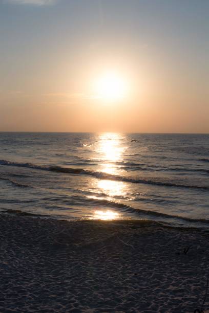 istock Beautiful sunrise by the beach 1461009199