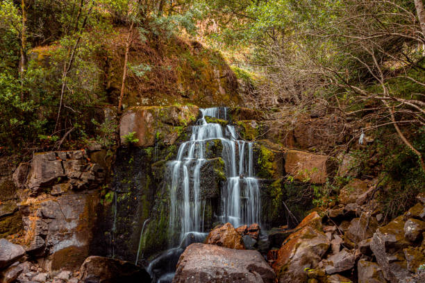 istock Beautiful shot of a waterfall in the forest 1461011067