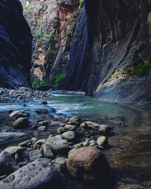 istock Vertical shot of a lake with rock formations 1461011901