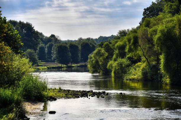 istock Beautiful flowing stream through green forests 1461012230
