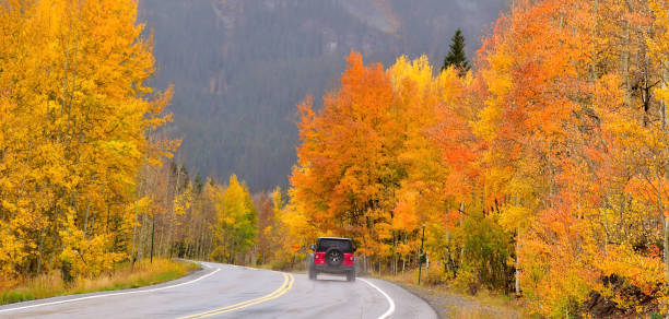 istock Colorful aspen trees in beautiful fall colors with blue sky 1461012836