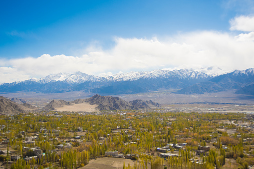 view of the city of Leh in ladakh