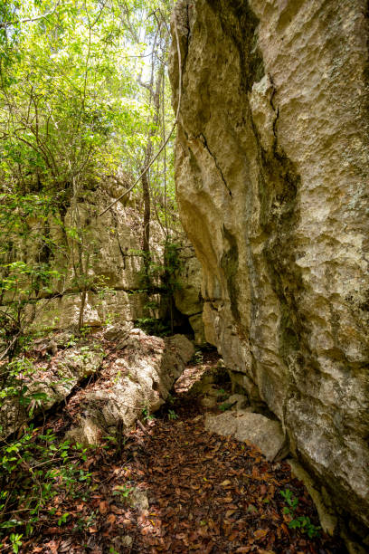 istock Petit Tsingy de Bemaraha, Madagascar wilderness landscape 1461015200