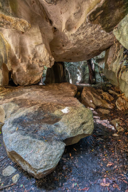 istock Petit Tsingy de Bemaraha, Madagascar wilderness landscape 1461015239