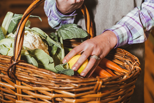 Farmer woman holding wooden basket full of fresh raw vegetables. Basket with cabbage, carrots and apples in hands - Close up of arm of young farmer carrying a basket of fresh vegetables