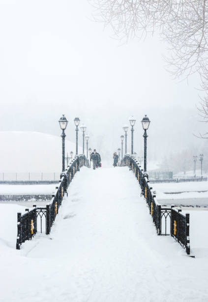 istock Vertical shot of a snow-covered pedestrian bridge 1461018460