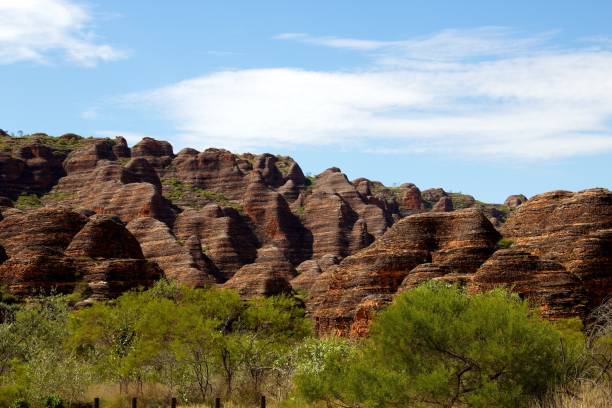 istock Beautiful view of trees on the rocks background 1461020046