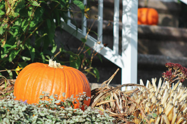 istock Halloween park decor with a pumpkin 1461020059