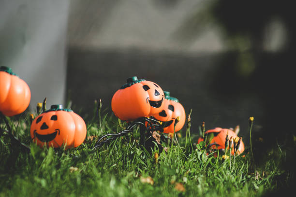 istock Halloween park decor with pumpkins 1461020085