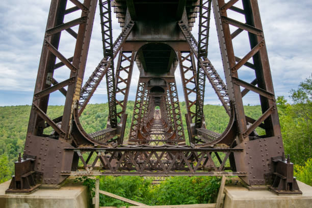 istock Kinzua Bridge amid dense vegetation in State Park Mount in USA 1461020629