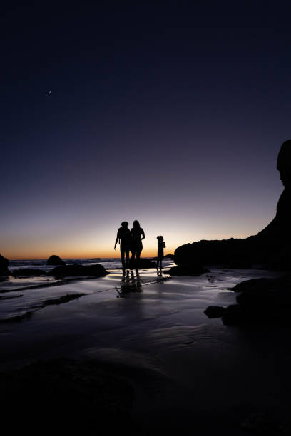 Vertical shot of Leo Carrillo state park