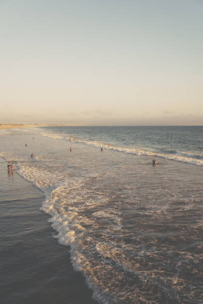 istock Vertical shot of the beach on a beautiful day 1461021661