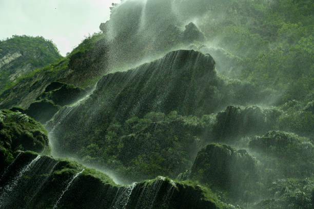 valley with moss