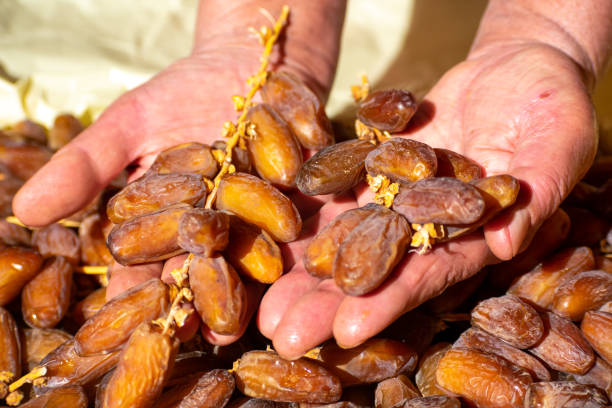 istock old woman holding Dates during harvest 1461022602
