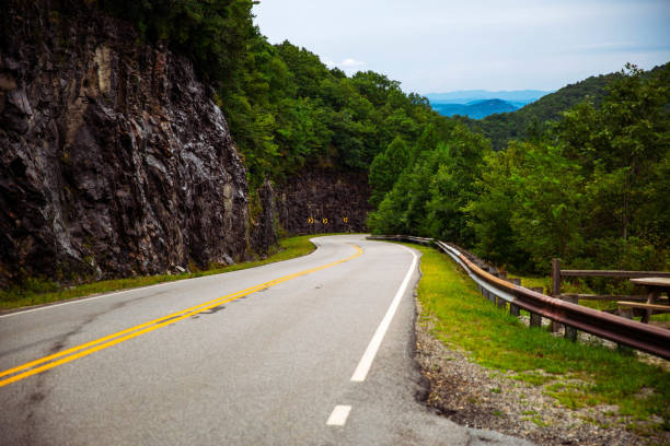 istock Empty street in the mountainous green area 1461022701