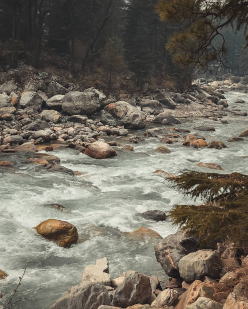 istock Vertical shot of a flowing river and stones 1461022732