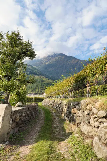 A dirt path between stonewalls at a village under a cloudy sky