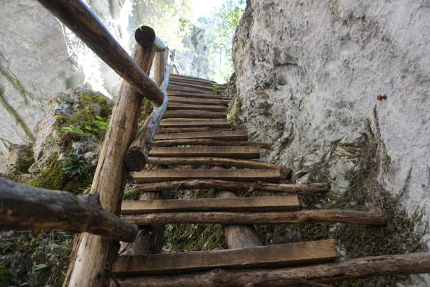 istock Old wooden stairs in the forest 1461023366