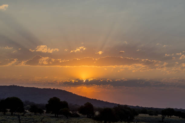 istock Mesmerizing cloudscape over the hills and fields with thickly growing trees at sunset in Africa 1461024172