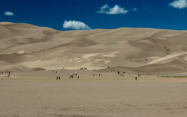 istock Landscape of the sand dunes under the blue sky 1461029400