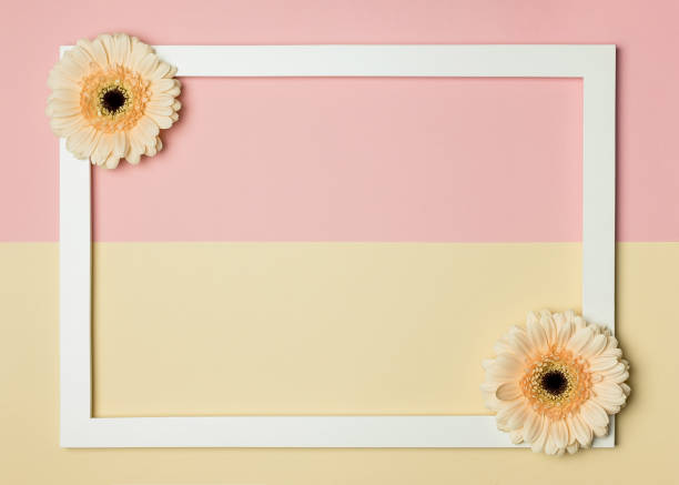istock Flat white frame with gerbera flowers on a pink-beige background, free space. March 8 is Women's Day, Valentine's Day, Birthday. Spring greeting card. 1461031880