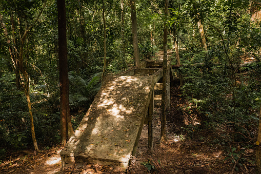 Old abandoned concrete bridge in the jungle of Ko Lanta, Krabi, Thailand