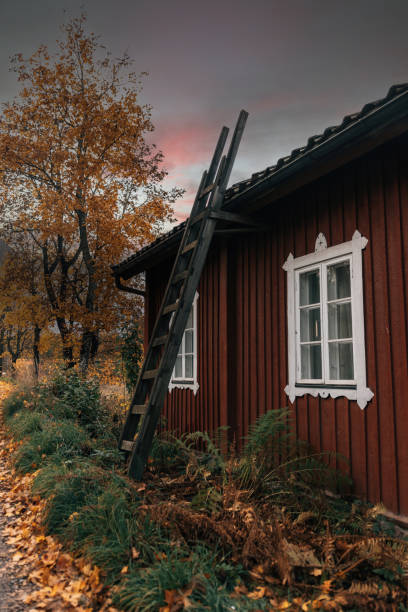 vecchia cabina rossa con una scala in autunno - forest hut window autumn foto e immagini stock