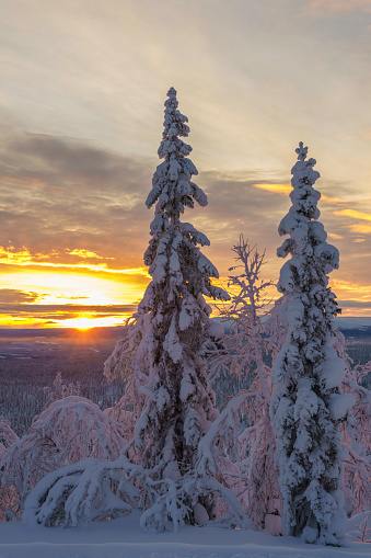 Winter landscape in sunset with beautiful colored sky in sunset, Gällivare county, Swedish Lapland, Sweden
