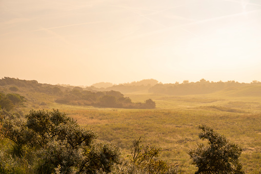 Foggy sunrise in the dunes during a sunny summer morning in the Dunes of Goeree nature reserve in South Holland.