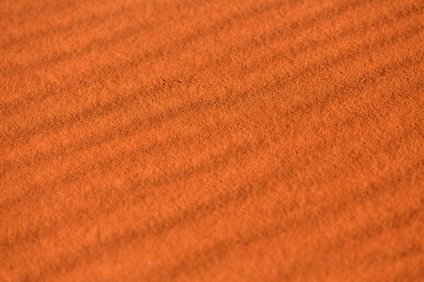 istock Golden desert sand sunset background 1461034907