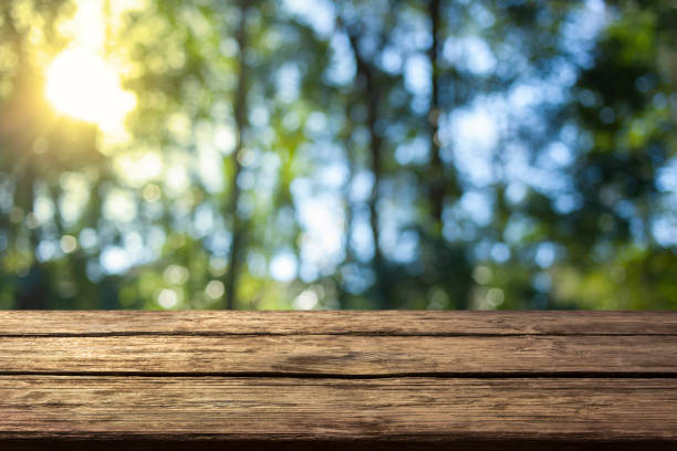 istock wooden table with forest bokeh background 1461037265