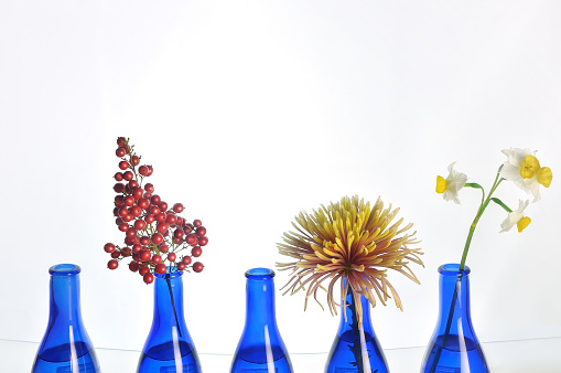 Flowers in the Blue Bottles/Studio Shot