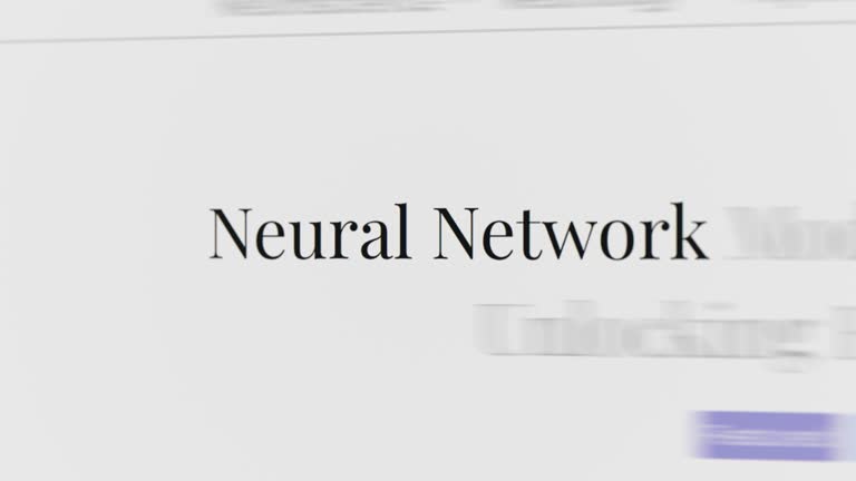 Neural network in the article and text