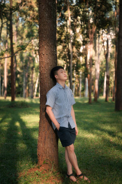 Asian male leaning tranquil against pine tree in the forest