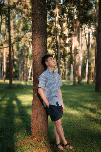 Young asian male leaning tranquil against pine tree in the forest