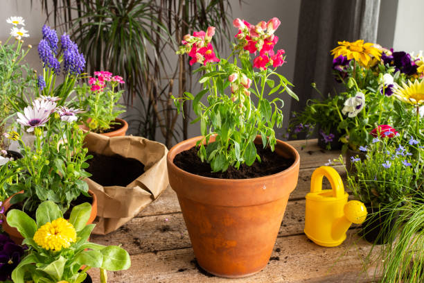 istock Spring decoration of a home balcony 1461044477