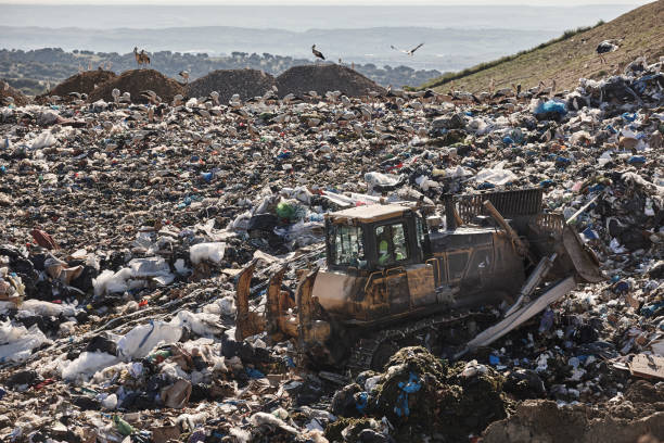 istock Heavy machinery shredding garbage in an open air landfill. Pollution 1461045100