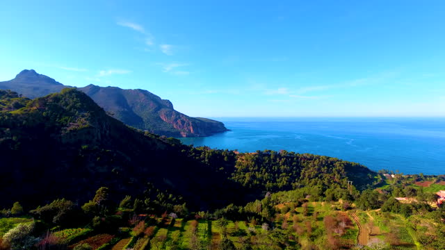 aerial shot of a field on a mountain hill overlooking the sea