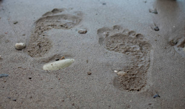 istock Photo of two footprints in the sand 1461053363