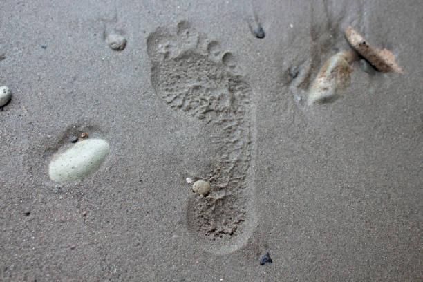 istock right footprints on the wet beach sand 1461053436