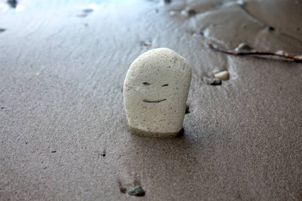 Photo of a rock embedded in the beach sand