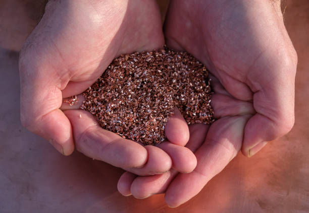 istock Copper shavings in the palms. Industrial waste. 1461053680